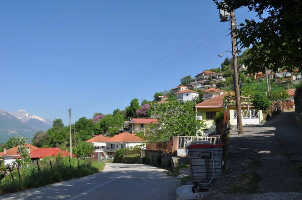 dsc 0162