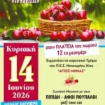 IMG 20260609 203136