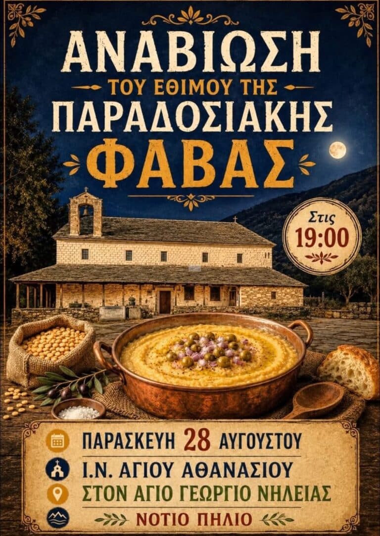 IMG 20260819 150256
