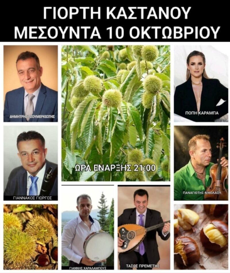Αφίσα: Γιορτή Κάστανου στη Μεσούντα Άρτας